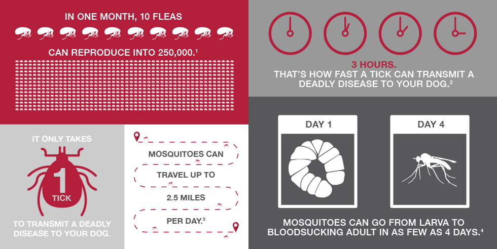 attack fleas, ticks & mosquitos